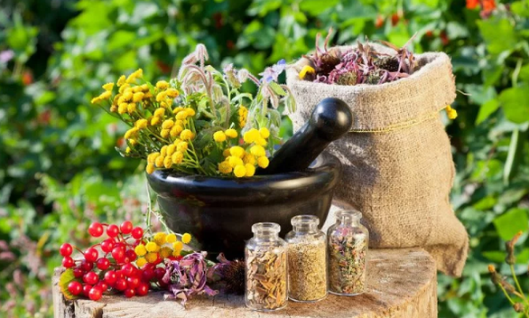 Helmints herbs